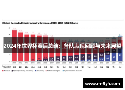 2024年世界杯赛后总结：各队表现回顾与未来展望