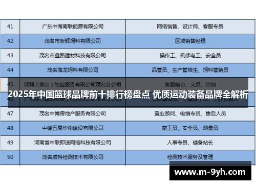 2025年中国篮球品牌前十排行榜盘点 优质运动装备品牌全解析