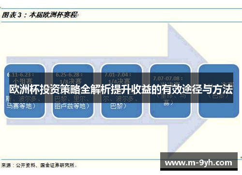 欧洲杯投资策略全解析提升收益的有效途径与方法