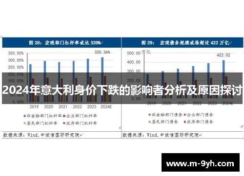 2024年意大利身价下跌的影响者分析及原因探讨