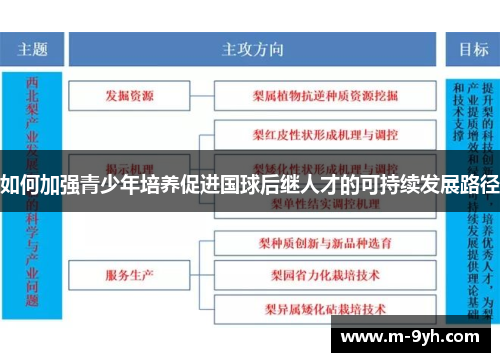 如何加强青少年培养促进国球后继人才的可持续发展路径