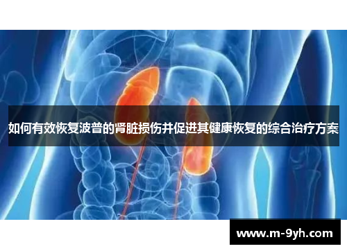 如何有效恢复波普的肾脏损伤并促进其健康恢复的综合治疗方案