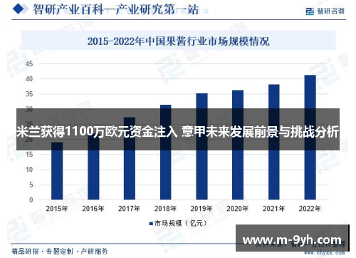 米兰获得1100万欧元资金注入 意甲未来发展前景与挑战分析